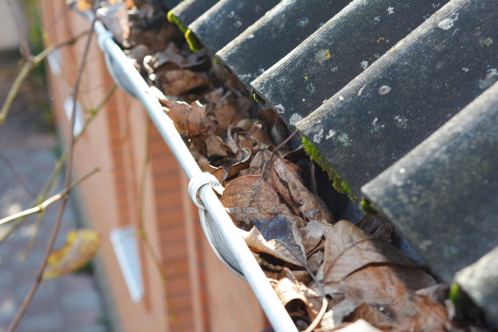 Common Causes of Drain Blockages in Leicestershire Homes — Jet Waves Pressure Washing Leicester & Leicestershire
